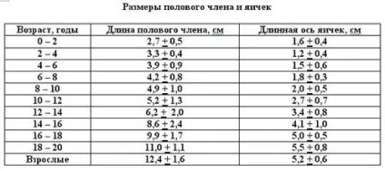 Середній розмір статевого члена яка норма (члена) Середній розмір статевого члена яка норма