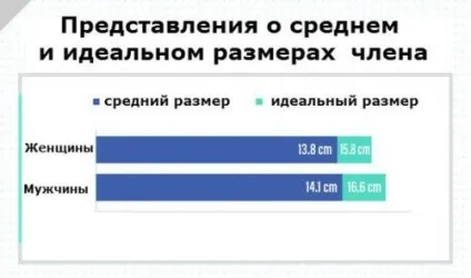Середній розмір статевого члена яка норма (середній) Середній розмір статевого члена яка норма