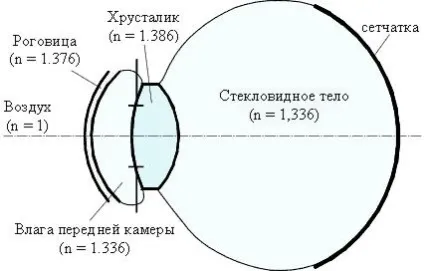 Будова і властивості очі