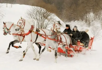 Сценарій весілля «зимова казка» (пригода) Сценарій весілля «зимова казка»