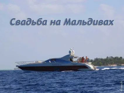 Весілля на Мальдівах і медовий місяць - все про весільну подорож на мальдівські острова (місяць) Весілля на Мальдівах і медовий місяць - все про весільну подорож на мальдівські острова