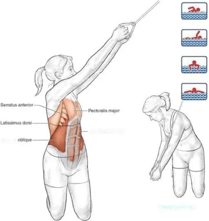 сухе плавання