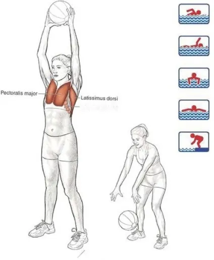 сухе плавання