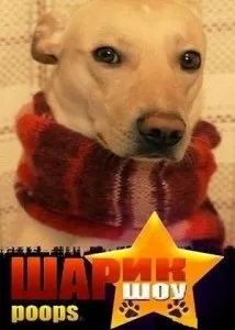 29 Жовтня у інтернету день народження (інтернету) 29 Жовтня у інтернету день народження