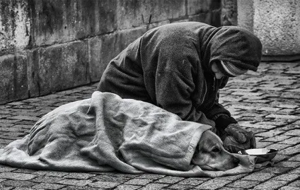 44 Фотографії, які доводять що собаки люблять нас безкорисливо (собаки) 44 Фотографії, які доводять що собаки люблять нас безкорисливо