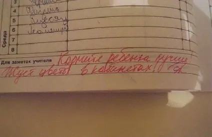 30 Несподіваних записів в шкільних щоденниках, які розсмішили навіть батьків (несподіваних) 30 Несподіваних записів в шкільних щоденниках, які розсмішили навіть батьків