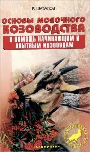 Таджицька вівці напівгрубововняні породи (план) Таджицька вівці напівгрубововняні породи