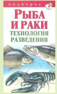 Таджицька вівці напівгрубововняні породи (таджицька вівці напівгрубововняні породи) Таджицька вівці напівгрубововняні породи