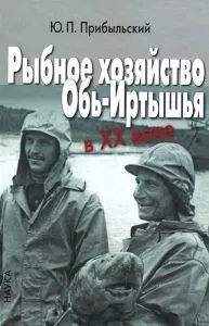 Таджицька вівці напівгрубововняні породи (таджицька) Таджицька вівці напівгрубововняні породи