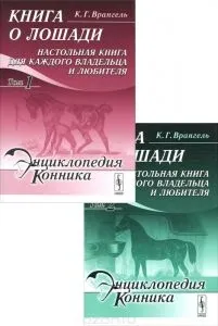 Таджицька вівці напівгрубововняні породи (фермер) Таджицька вівці напівгрубововняні породи