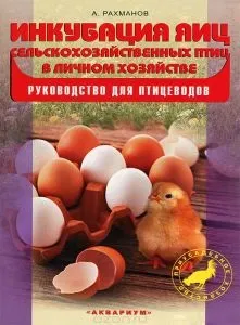 Таджицька вівці напівгрубововняні породи (Кури м'ясних порід) Таджицька вівці напівгрубововняні породи