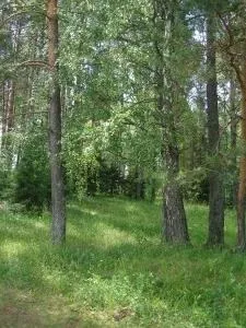 Святе місце - озеро Светлояр