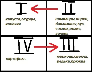 Схема сівозміни овочевих культур на огородесвой будиночок в селі (схема сівозміни) Схема сівозміни овочевих культур на огородесвой будиночок в селі