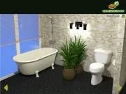 The great bathroom escape