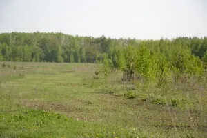 Типи і види сівозміни основні поняття, техніки, секрети, а також методи догляду за рослинами і (грунті поживних речовин) Типи і види сівозміни основні поняття, техніки, секрети, а також методи догляду за рослинами і