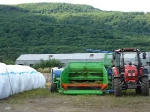 Технологія заготівлі та приготування силосу (силосу) Технологія заготівлі та приготування силосу