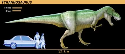 Тиранозавр рекс - tyrannosaurus rex, картинки тиранозавр динозавр тираннозавр, фото тираннозавр в (тираннозавр рекс tyrannosaurus rex картинки тиранозавр динозавр тираннозавр фото тираннозавр в картинках dinozavri динозаври онлайн dinosaurs безкоштовно динозаври хижі фото динозаври юрського періоду доісторичні динозаври в картинках найбільший динозавр види динозаврів енциклопедія денозаври скелет динозавра назви динозаврів епоха іхтіозаври плезіозаври зверозубие ящери літаючі ящери стародавні плазуни копалини рептилії lbyjpfdhs скачати дино завров гри динозаври грати в динозаврів фільми про динозаври відео мультфільми про динозаврів мультики) Тиранозавр рекс - tyrannosaurus rex, картинки тиранозавр динозавр тираннозавр, фото тираннозавр в