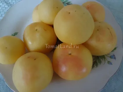 Томат персик опис і характеристика сорту, відгуки, фото