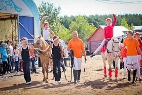 Вчимося верховій їзді! Огляд стаєнь міста Уфи (верхова їзда) Вчимося верховій їзді! Огляд стаєнь міста Уфи
