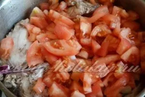 Тушкований кролик з помідорами рецепт (тушкований) Тушкований кролик з помідорами рецепт