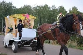 Вчимося верховій їзді! Огляд стаєнь міста Уфи (коні) Вчимося верховій їзді! Огляд стаєнь міста Уфи