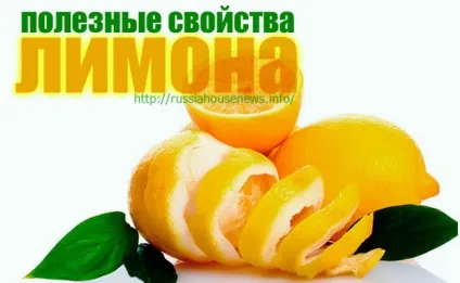 Дивовижні і корисні властивості лимона (кулінарія) Дивовижні і корисні властивості лимона