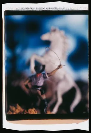 Унікальність знімків на polaroid