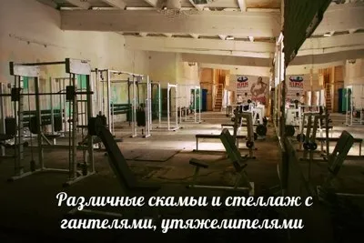 Вправи на тренажері лава Скотта - український виробник тренажерів айрон кінг (вправи) Вправи на тренажері лава Скотта - український виробник тренажерів айрон кінг