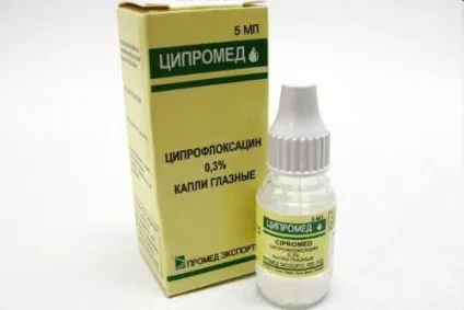 У кролика гноїться очей що робити і чим лікувати (гноїться) У кролика гноїться очей що робити і чим лікувати
