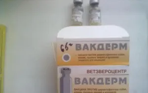 Вакцина Вакдерм для кішок проти стригучого позбавляючи, дерматофітозами, трихофітії, і мікроспорії