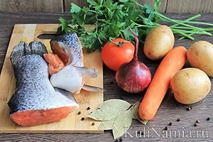 Юшка з сьомги рецепт як приготувати юшку з червоної риби (червоної) Юшка з сьомги рецепт як приготувати юшку з червоної риби