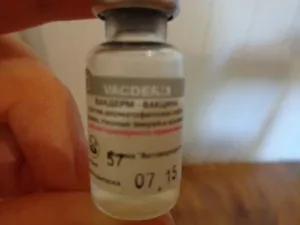 Вакцина Вакдерм для кішок проти стригучого позбавляючи, дерматофітозами, трихофітії, і мікроспорії