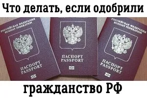 Вісник мігранта і мандрівника схвалили громадянство України (громадянства Укаїни) Вісник мігранта і мандрівника схвалили громадянство рф
