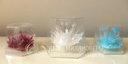 Вирощування кристалів для дітей - проведення досвіду, результат, факти (вирощування) Вирощування кристалів для дітей - проведення досвіду, результат, факти