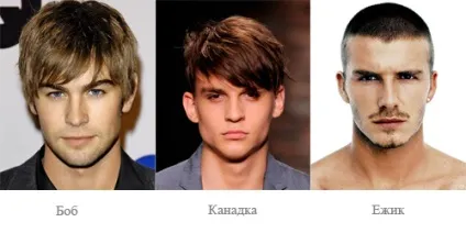 Види, стилі і назви чоловічих зачісок, hair fresh (стилі) Види, стилі і назви чоловічих зачісок, hair fresh