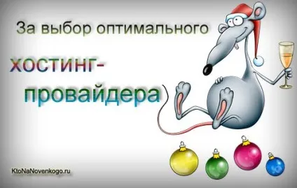 Вибір оптимального хостингу