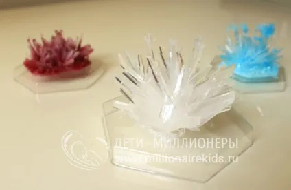 Вирощування кристалів для дітей - проведення досвіду, результат, факти (кристалів) Вирощування кристалів для дітей - проведення досвіду, результат, факти
