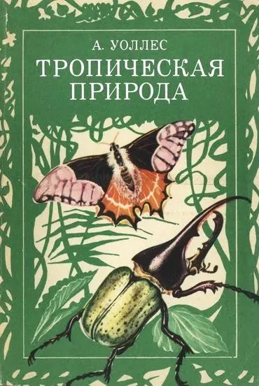 Вплив рослинності на клімат