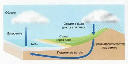Вода в житті природи і людини (життя) Вода в житті природи і людини