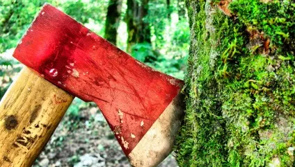 Вирубка лісу як бізнес (бізнес ідеї) Вирубка лісу як бізнес