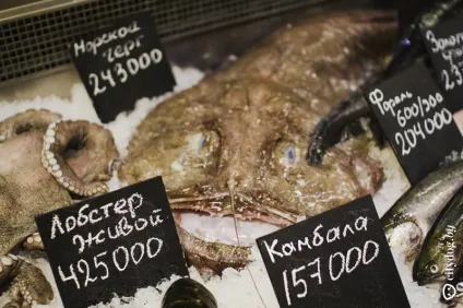 У Мінську відкривається магазин зі свіжої морською рибою і устрицями, журнал про Мінську (Мінську) У Мінську відкривається магазин зі свіжої морською рибою і устрицями, журнал про Мінську