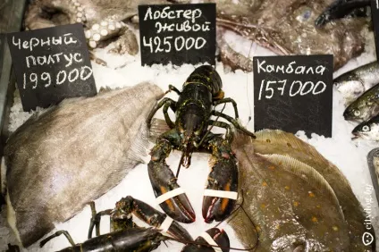 У Мінську відкривається магазин зі свіжої морською рибою і устрицями, журнал про Мінську (Мінську) У Мінську відкривається магазин зі свіжої морською рибою і устрицями, журнал про Мінську