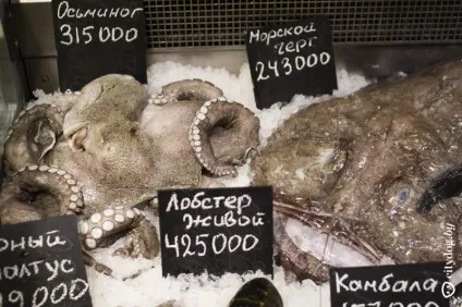 У Мінську відкривається магазин зі свіжої морською рибою і устрицями, журнал про Мінську (магазин) У Мінську відкривається магазин зі свіжої морською рибою і устрицями, журнал про Мінську