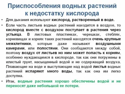 Вологолюбні рослини і їх ознаки (вологолюбні) Вологолюбні рослини і їх ознаки