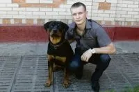 Чи шкодять городу собачі «міни», природа, суспільство, АіФ Україна