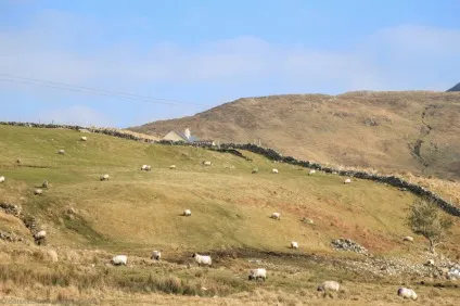 Все, що я знаю про ірландії, мама, це jameson, guinness і connemara - незвідана європа (знаю) Все, що я знаю про ірландії, мама, це jameson, guinness і connemara - незвідана європа
