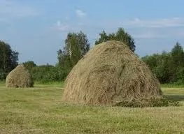 Хитрощі при заготівлі сіна