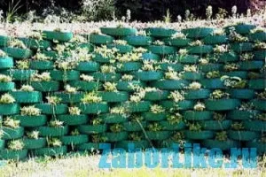 Забір своїми руками з підручних матеріалів фото і відео (паркан) Забір своїми руками з підручних матеріалів фото і відео