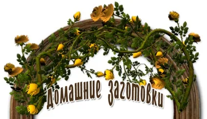Хрусткі огірочки з перцем і морквою рецепти і кулінарія - жіноча соціальна мережа (огірочки) Хрусткі огірочки з перцем і морквою рецепти і кулінарія - жіноча соціальна мережа