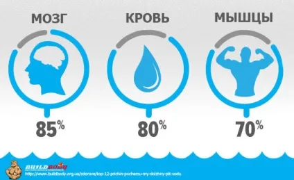 Навіщо потрібно пити воду (здоров'я) Навіщо потрібно пити воду